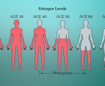 Estrogen and Fertility