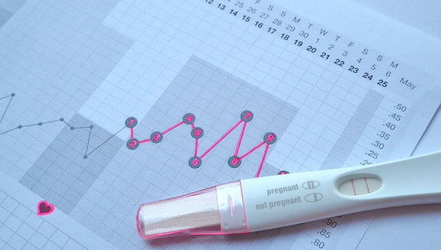 Fertility Charting