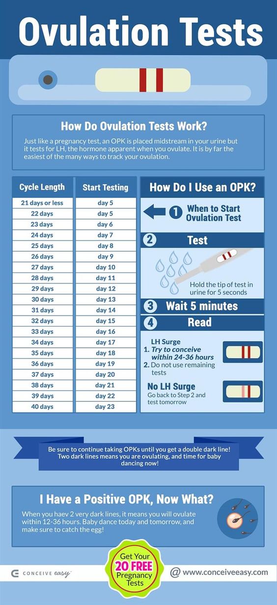 ovulation predictor test