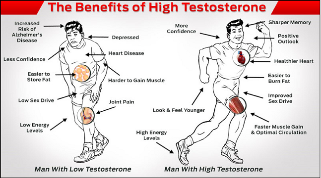 Testosterone levels in men