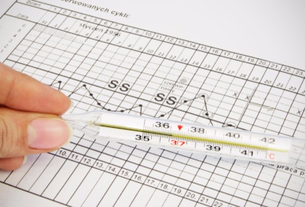 tracking ovulation using a BBT thermometer