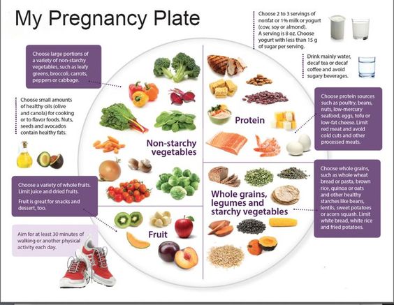 Pregnancy Diet